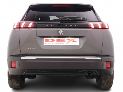 PEUGEOT_PEUGEOT_2008_2551419_4.jpg