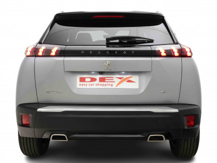 PEUGEOT_PEUGEOT_2008_2653641_4.jpg