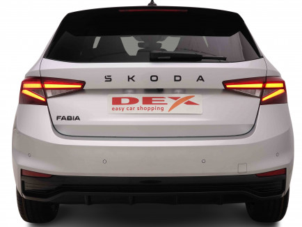 SKODA_SKODA_FABIA_2550204_4.jpg