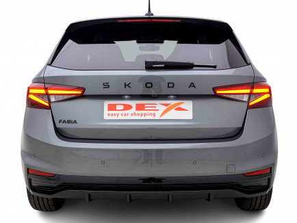 SKODA_SKODA_FABIA_2655339_4.jpg