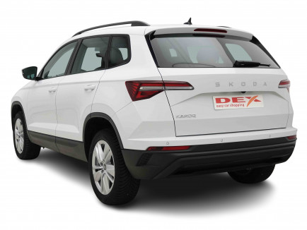 SKODA_SKODA_KAROQ_2653075_3.jpg