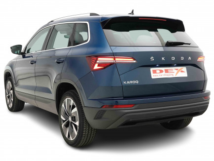 SKODA_SKODA_KAROQ_2654493_3.jpg
