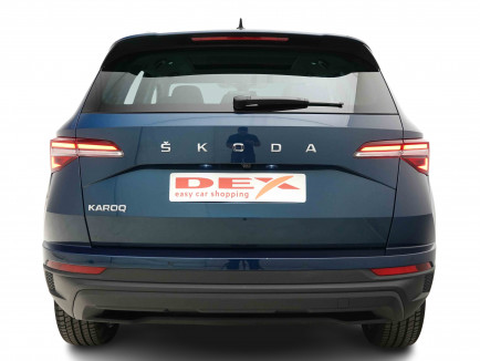 SKODA_SKODA_KAROQ_2654493_4.jpg