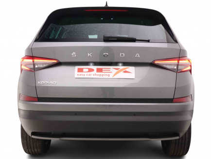 SKODA_SKODA_KODIAQ_2550688_4.jpg