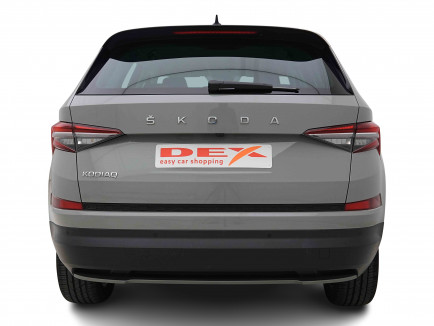 SKODA_SKODA_KODIAQ_2654925_4.jpg