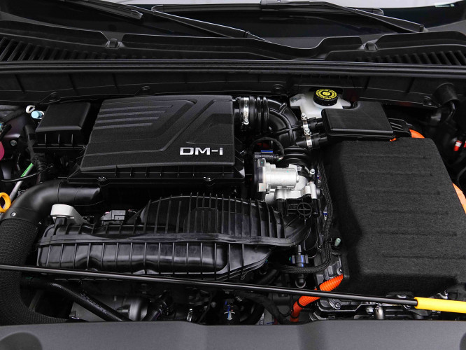 BYD_BYD_ATTO 2_2654618_18.jpg