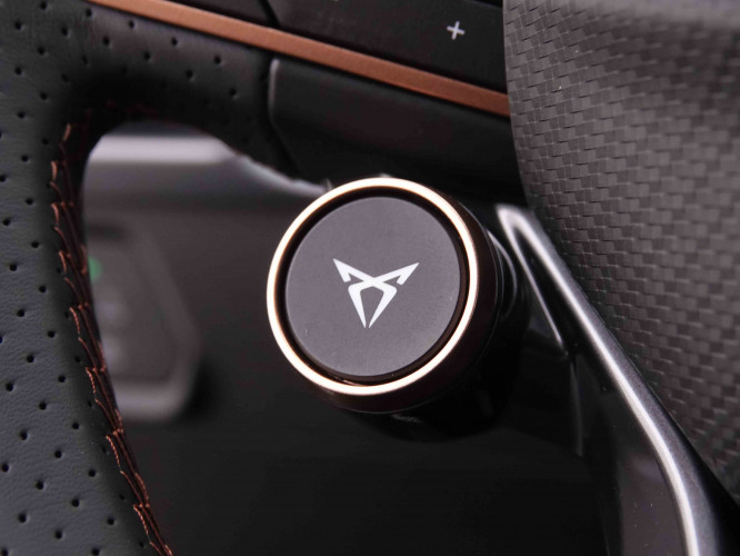 CUPRA_CUPRA_FORMENTOR_2547840_89.jpg