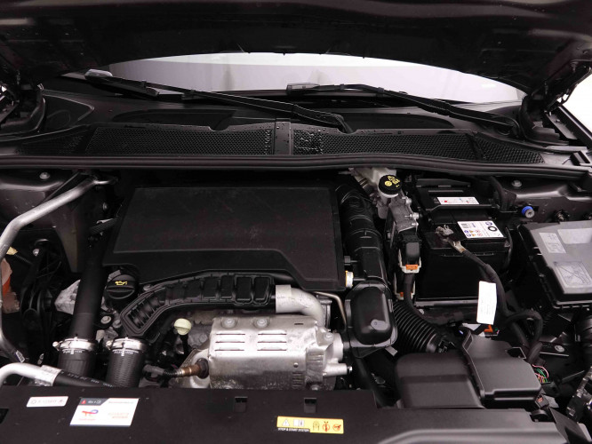 DS_DS_DS4_2652300_22.jpg DS_DS_DS4_2652300_22.jpg