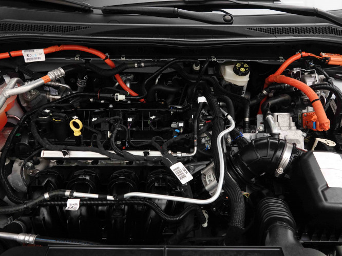 FORD_FORD_KUGA_2654873_21.jpg