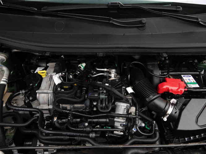 FORD_FORD_TOURNEOCOU_2653773_24.jpg