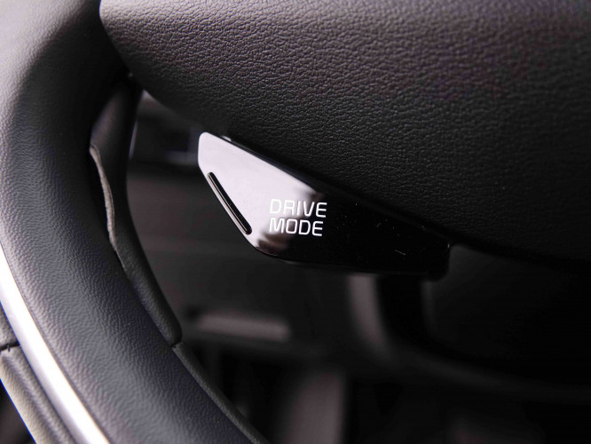 KIA_KIA_E_NIRO_2548679_23.jpg