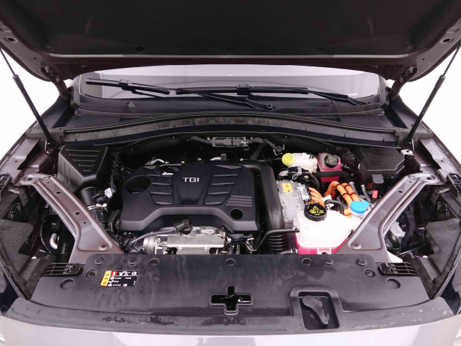 MG_MG_EHS_2445904_24.jpg