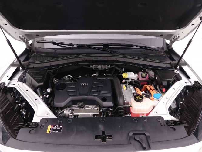 MG_MG_EHS_2548220_27.jpg