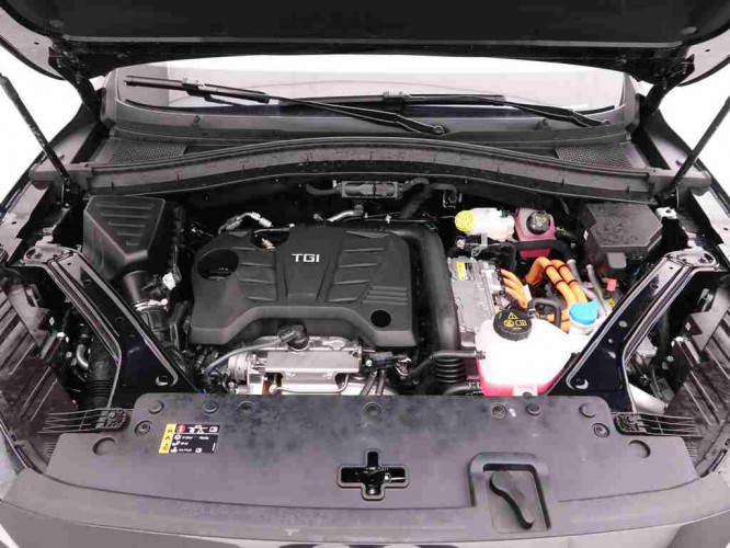 MG_MG_EHS_2548226_27.jpg