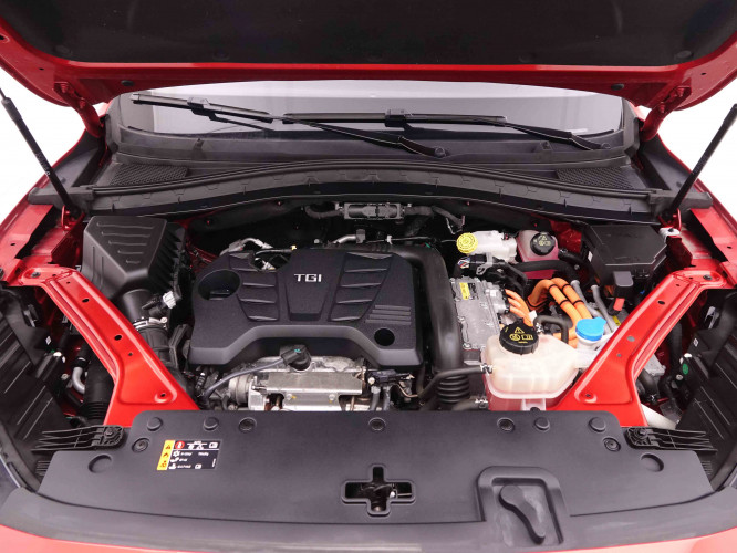 MG_MG_EHS_2548229_23.jpg