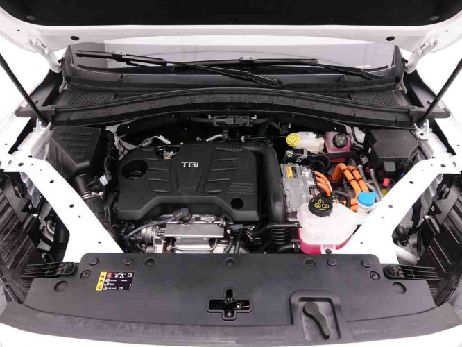 MG_MG_EHS_2548258_27.jpg