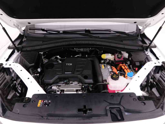 MG_MG_EHS_2550303_24.jpg