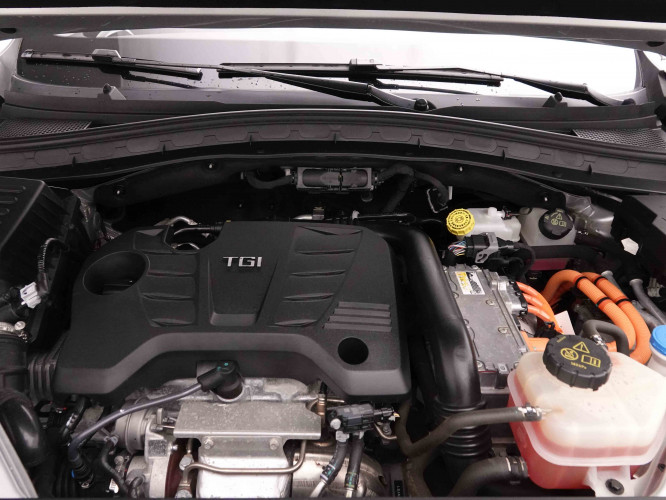 MG_MG_EHS_2651996_25.jpg MG_MG_EHS_2651996_25.jpg