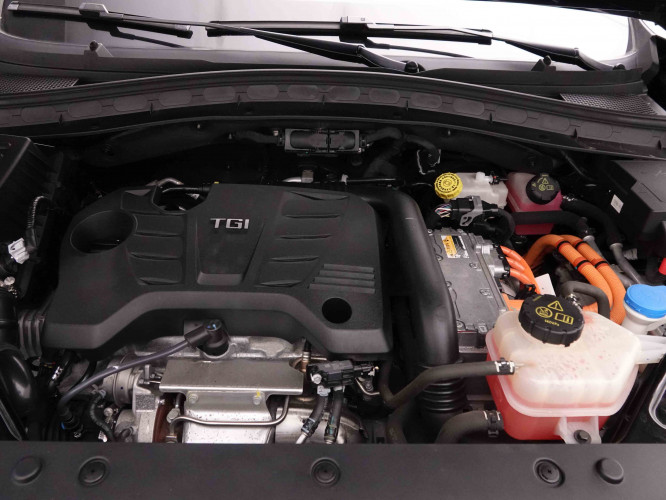 MG_MG_EHS_2651997_25.jpg MG_MG_EHS_2651997_25.jpg