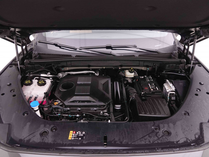 MG_MG_HS_2547816_24.jpg