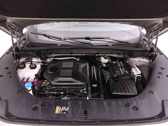 MG_MG_HS_2547958_26.jpg