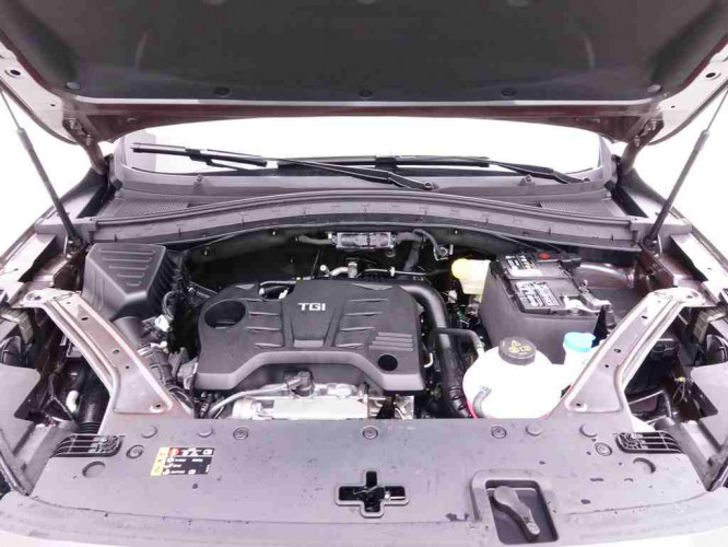 MG_MG_HS_2548045_25.jpg