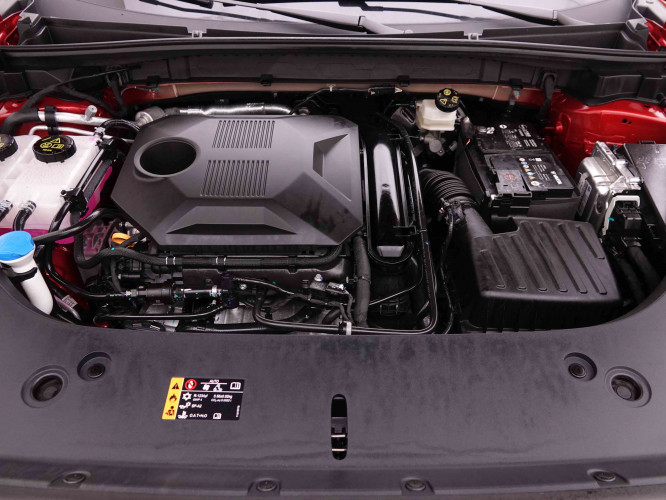 MG_MG_HS_2548962_21.jpg