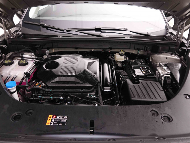 MG_MG_HS_2549216_23.jpg