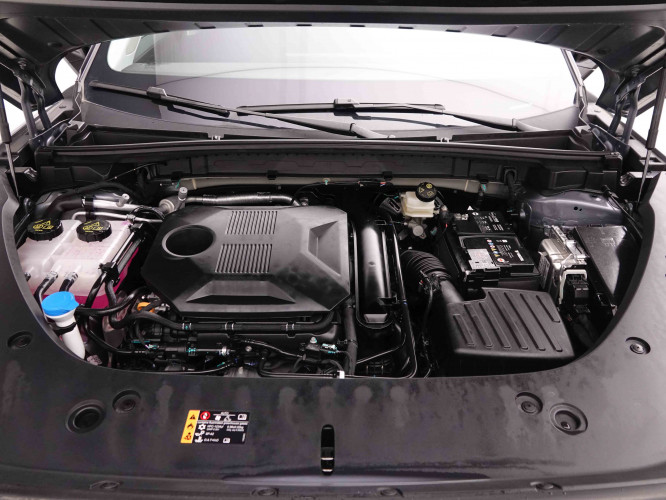 MG_MG_HS_2549227_22.jpg