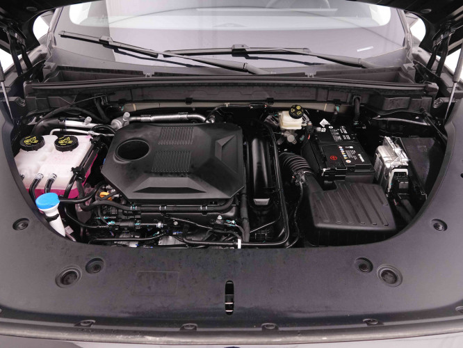 MG_MG_HS_2549228_22.jpg