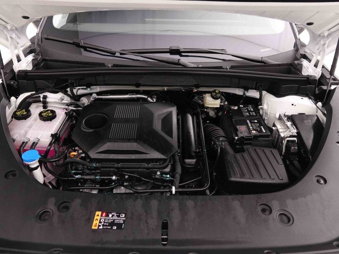 MG_MG_HS_2549234_22.jpg MG_MG_HS_2549234_22.jpg