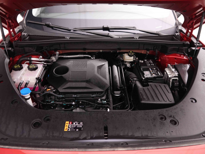 MG_MG_HS_2549248_22.jpg