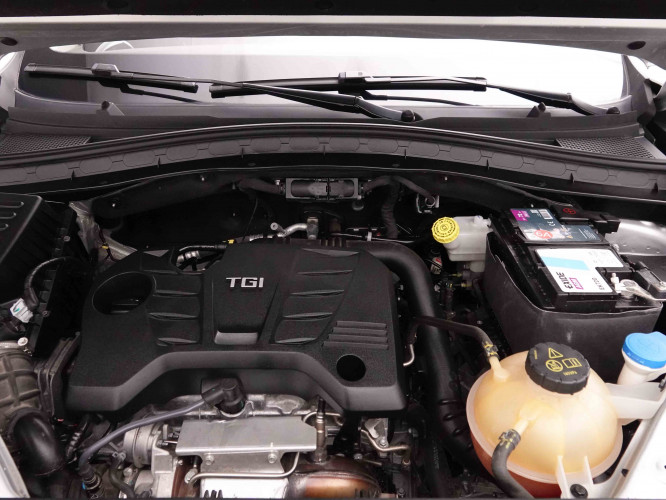 MG_MG_HS_2551581_23.jpg MG_MG_HS_2551581_23.jpg