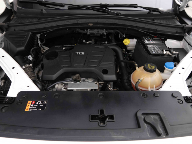 MG_MG_HS_2653369_21.jpg