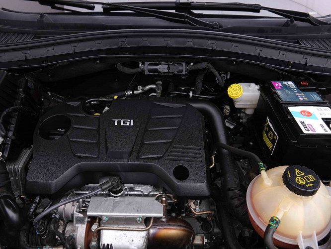 MG_MG_HS_2655312_22.jpg