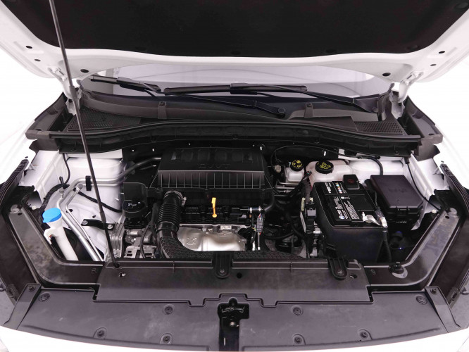 MG_MG_ZS_2548003_20.jpg