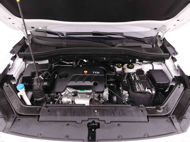 MG_MG_ZS_2548663_21.jpg