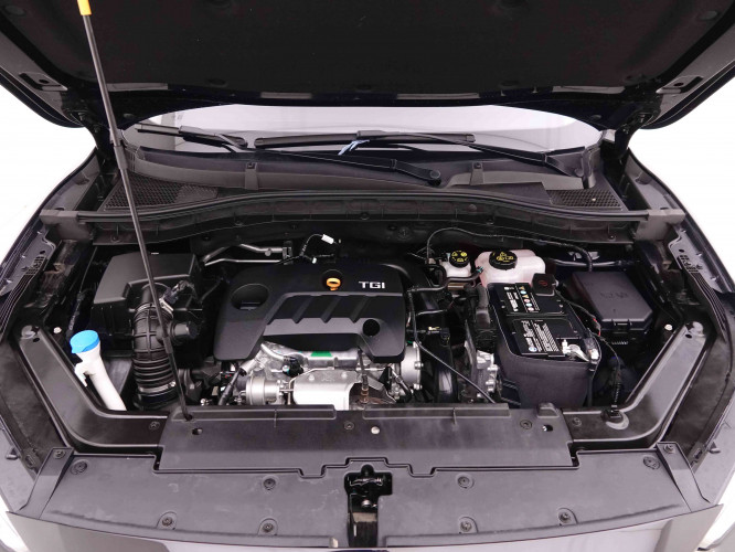 MG_MG_ZS_2548664_21.jpg