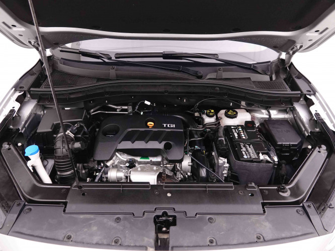 MG_MG_ZS_2548665_22.jpg