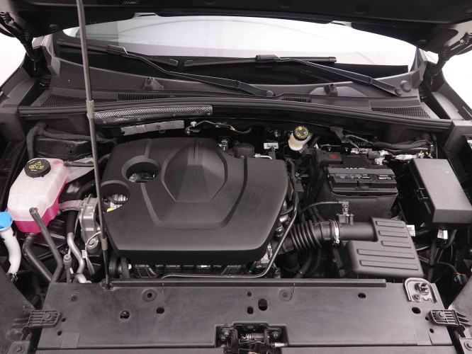 MG_MG_ZS_2549831_21.jpg