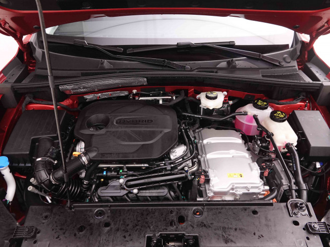 MG_MG_ZS_2550175_22.jpg