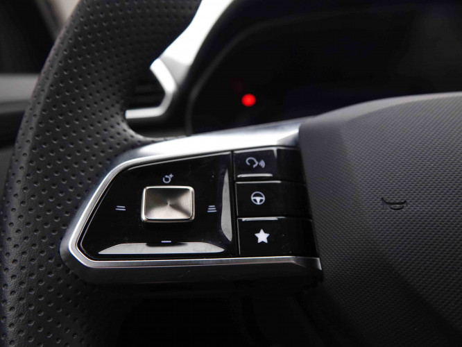 MG_MG_ZS_2550181_18.jpg