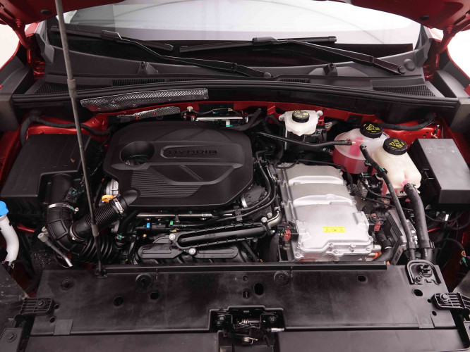 MG_MG_ZS_2550181_22.jpg