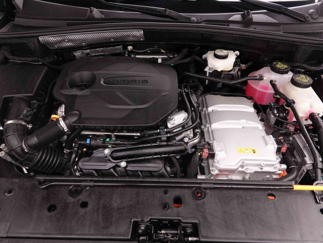 MG_MG_ZS_2652057_22.jpg
