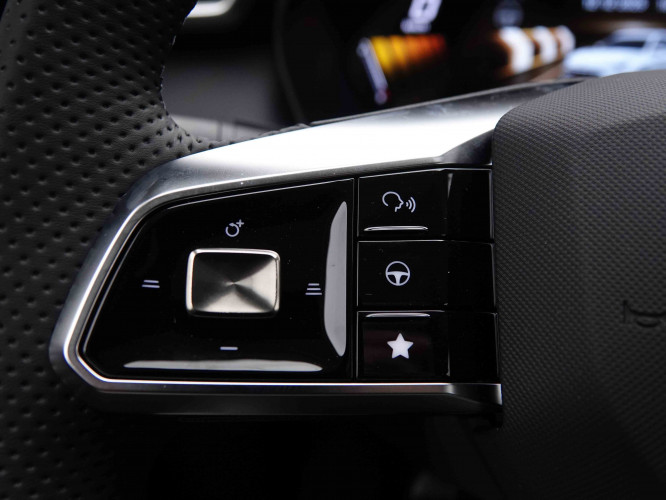 MG_MG_ZS_2652057_47.jpg