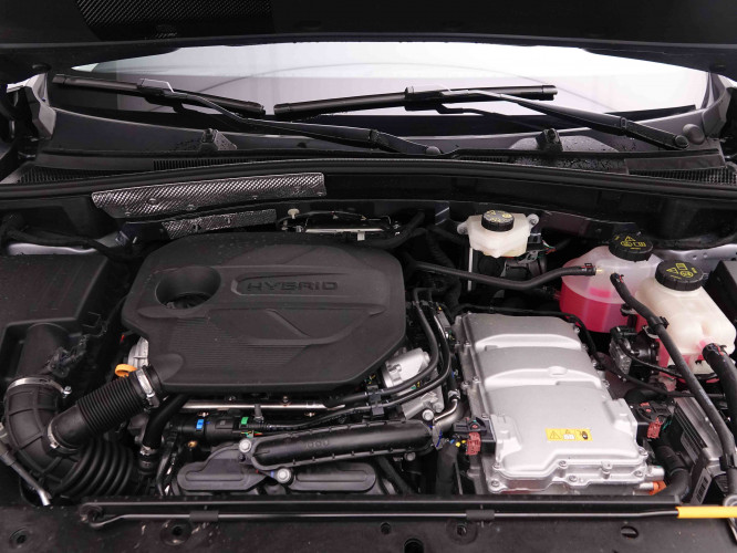 MG_MG_ZS_2652156_51.jpg MG_MG_ZS_2652156_51.jpg