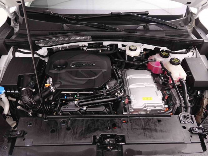 MG_MG_ZS_2652181_23.jpg MG_MG_ZS_2652181_23.jpg