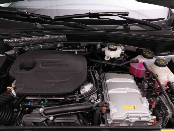 MG_MG_ZS_2652203_49.jpg MG_MG_ZS_2652203_49.jpg