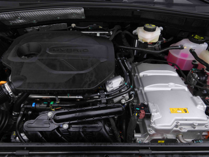 MG_MG_ZS_2654810_19.jpg