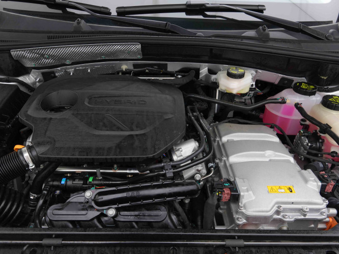 MG_MG_ZS_2654814_20.jpg